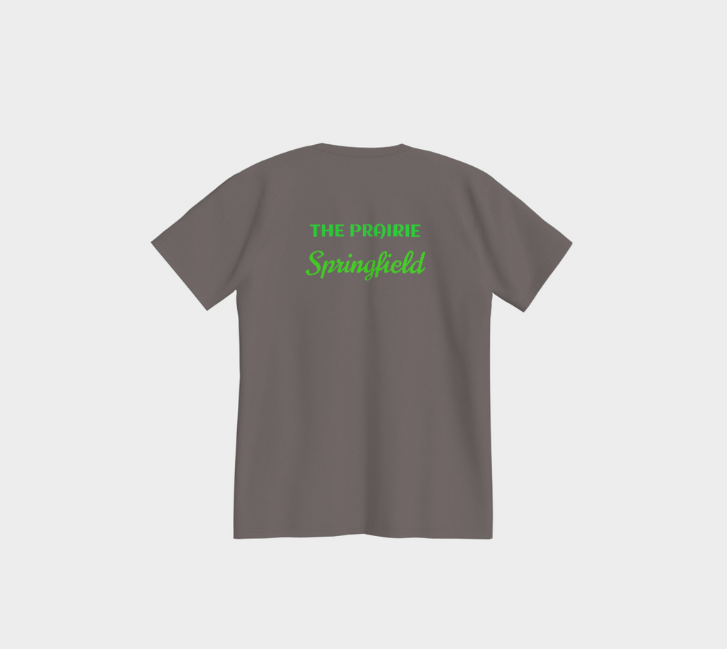 Illinois USA 250 Tee