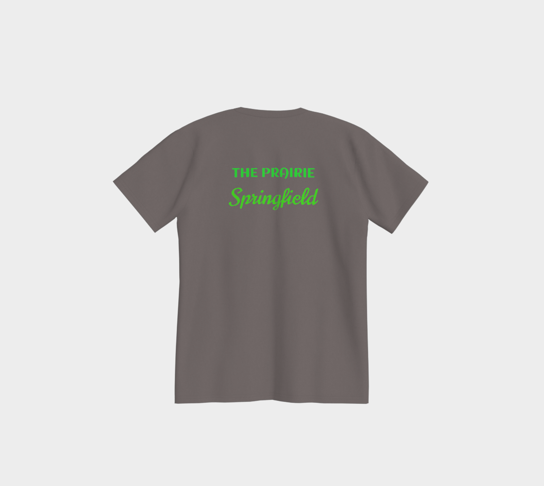 Illinois USA 250 Tee