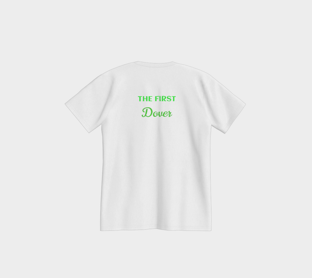 Delaware USA 250 Tee