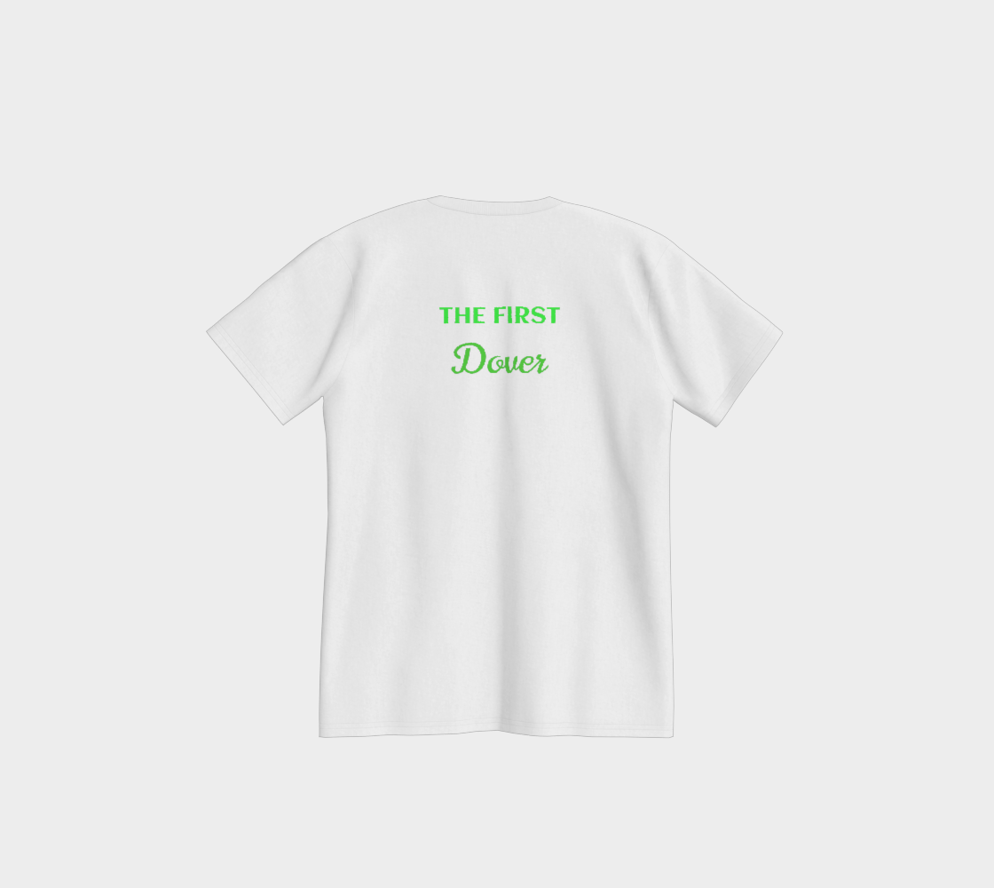 Delaware USA 250 Tee