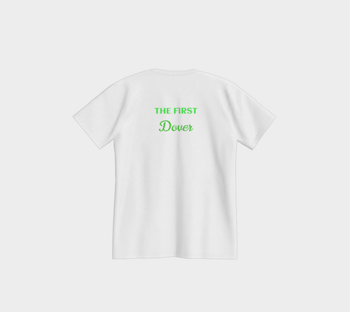 Delaware USA 250 Tee