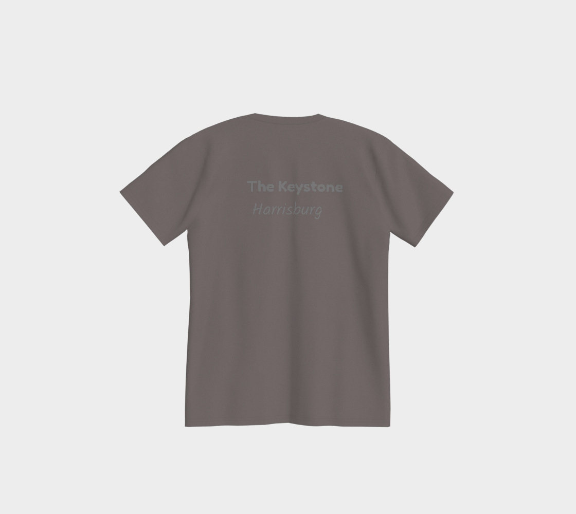 Pennsylvania USA 250 TEE