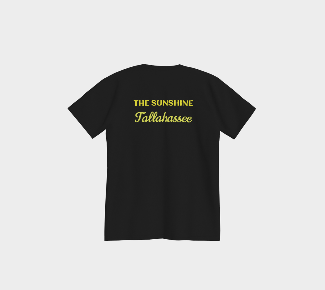Florida USA 250 Tee
