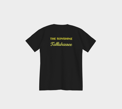 Florida USA 250 Tee