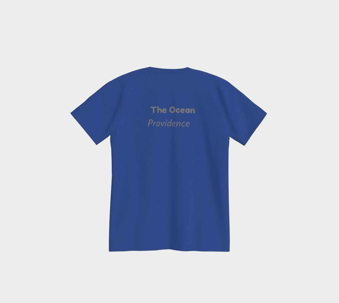 Rhode Island USA 250 TEE