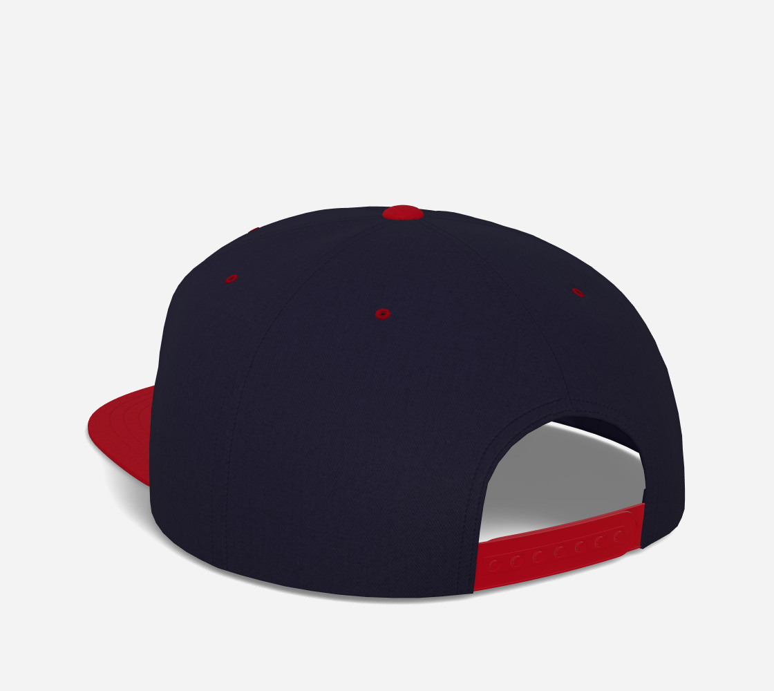 US Flag Official Bidabeach Cap