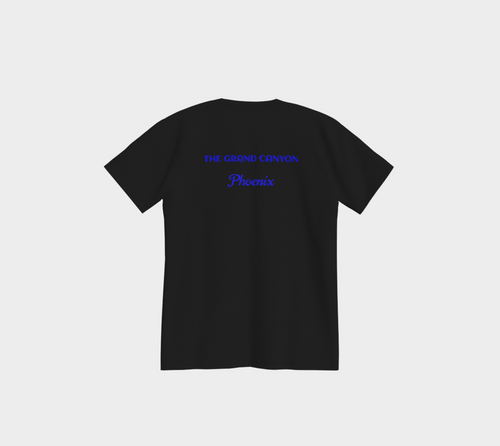 Arizona USA 250 Tee