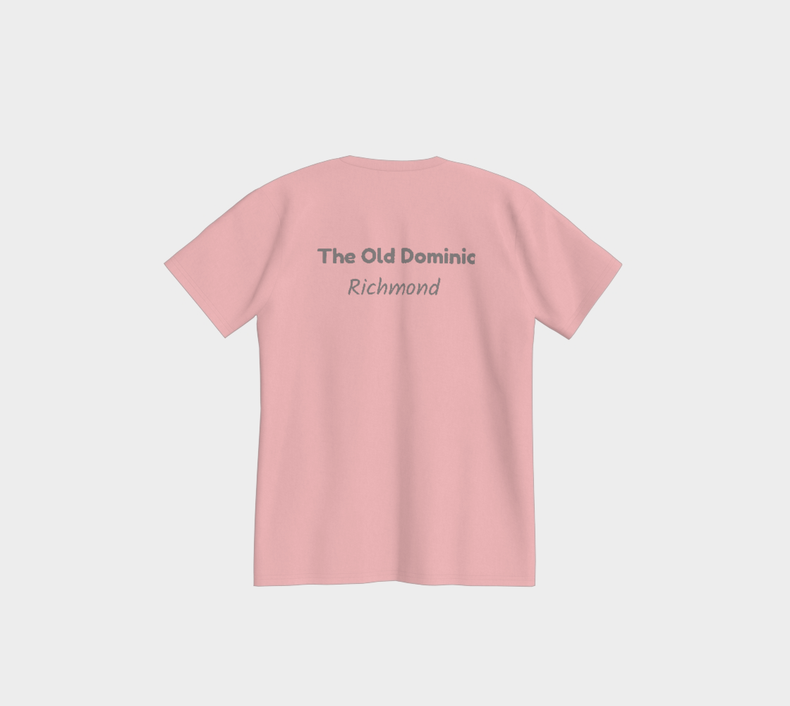 Virginia USA 250 TEE